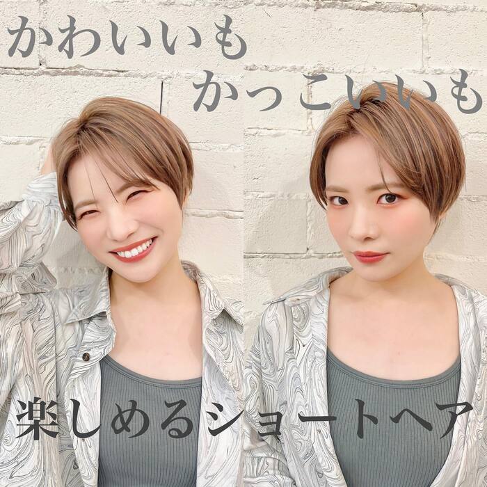 画像254